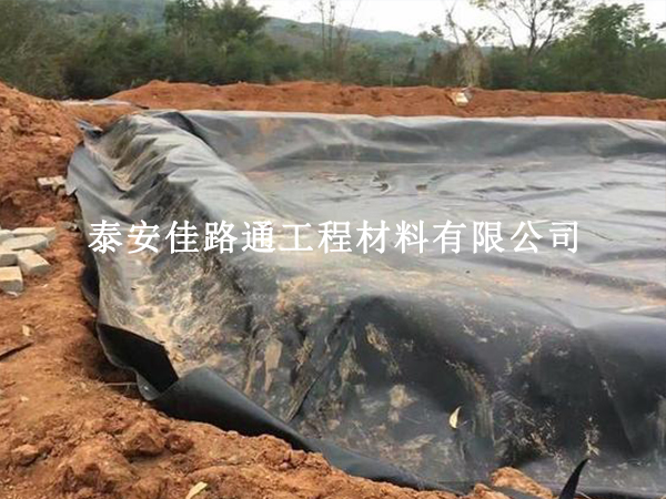 水產養(yǎng)殖戶選擇養(yǎng)殖防滲土工膜：智慧之選，綠色養(yǎng)殖的新篇章