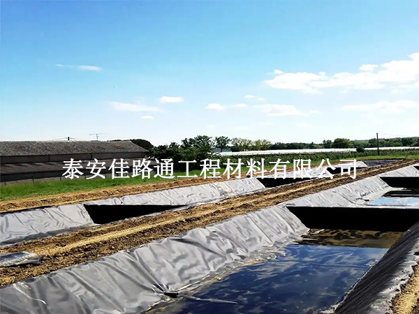 水產(chǎn)養(yǎng)殖防滲膜鋪裝技術要求：構建高效防水屏障
