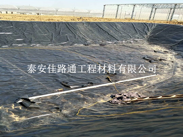 影響水產養(yǎng)殖防滲膜厚度的生產因素