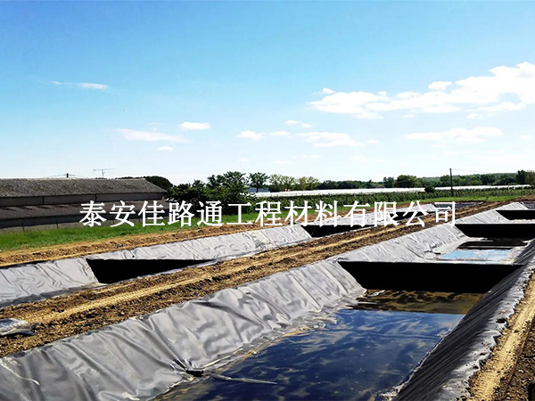 養(yǎng)殖防滲膜施工效率提升技巧